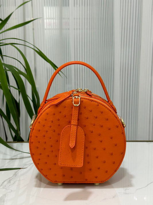 Womens Ostrich Skin Leather Apple Phone Handle Bag (Copy)