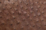 Genuine Ostrich Leather Clutch